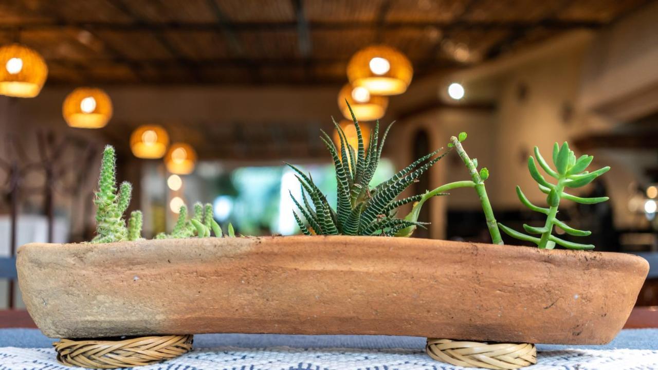 Casa Los Cantaros Hotel Boutique Oaxaca Εξωτερικό φωτογραφία