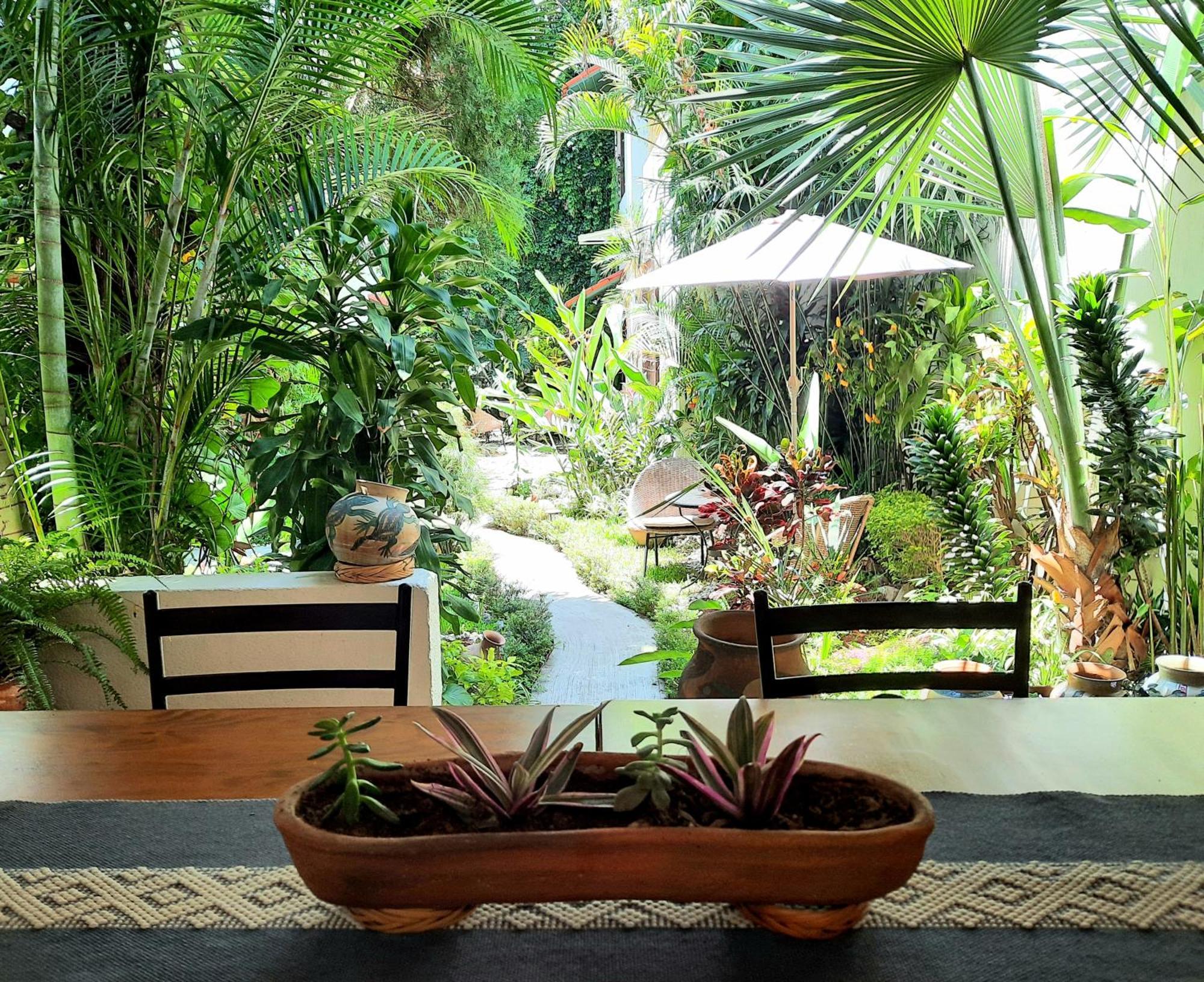 Casa Los Cantaros Hotel Boutique Oaxaca Εξωτερικό φωτογραφία